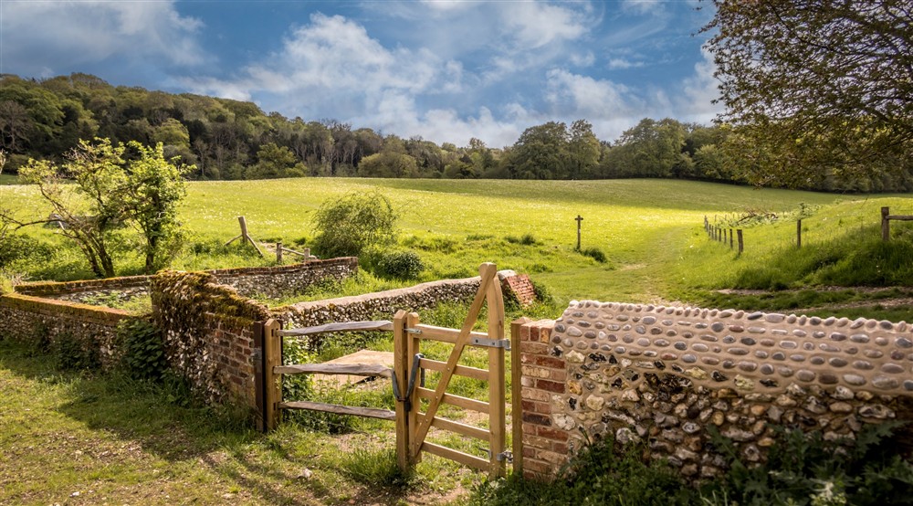 The area surrounding 1 Bagden Farm Cottage, Surrey (photo 3) at 1 Bagden Farm Cottage in Dorking, Surrey