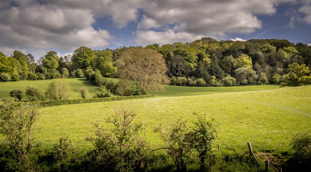 The area surrounding 1 Bagden Farm Cottage, Surrey at 1 Bagden Farm Cottage in Dorking, Surrey