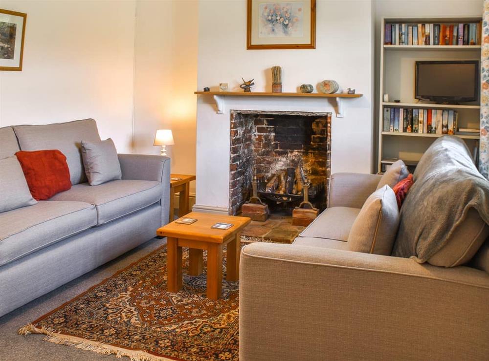 Living room at 1 Brandiston Barn Cottage in Melton Constable, Norfolk