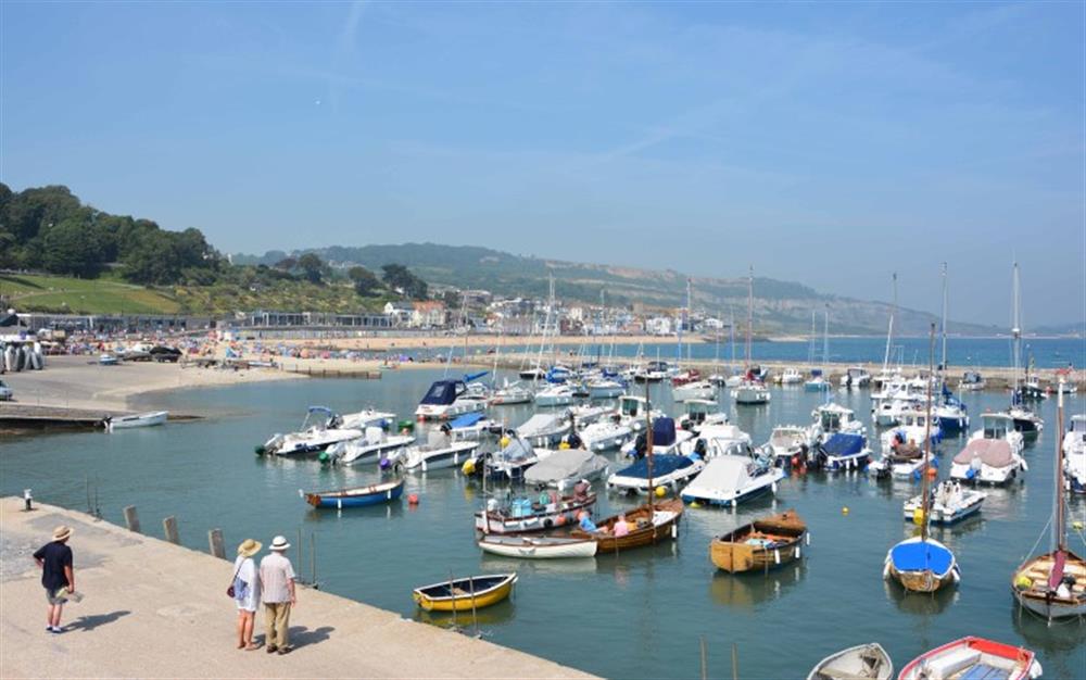 Sunny days at Lyme Regis at 1 Channel View in Lyme Regis