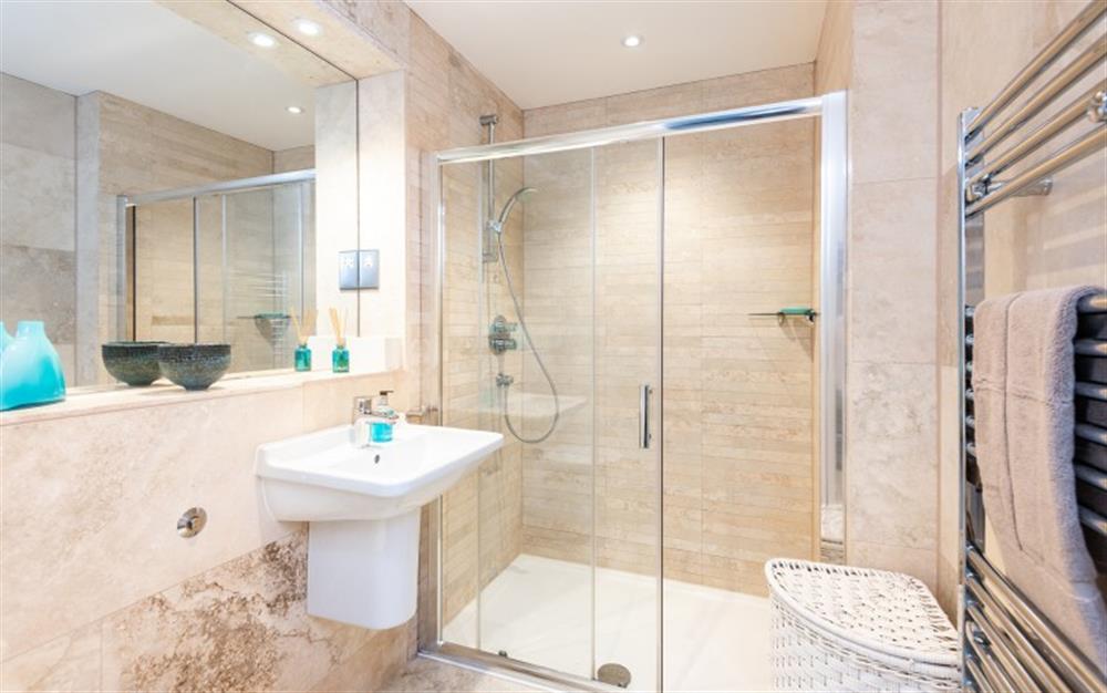 Family shower room with large walk-in shower. at 1 Dufour in East Allington
