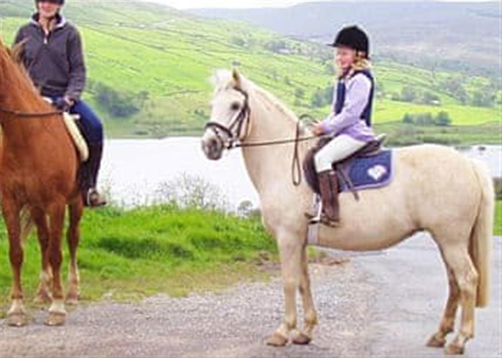 Horse riding lessons, trekking and stabling available at 1 Gill Edge Cottages in Bainbridge, near Hawes, North Yorkshire