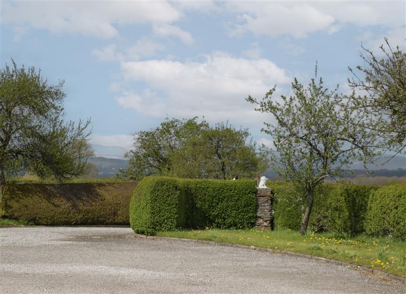 Rural landscape