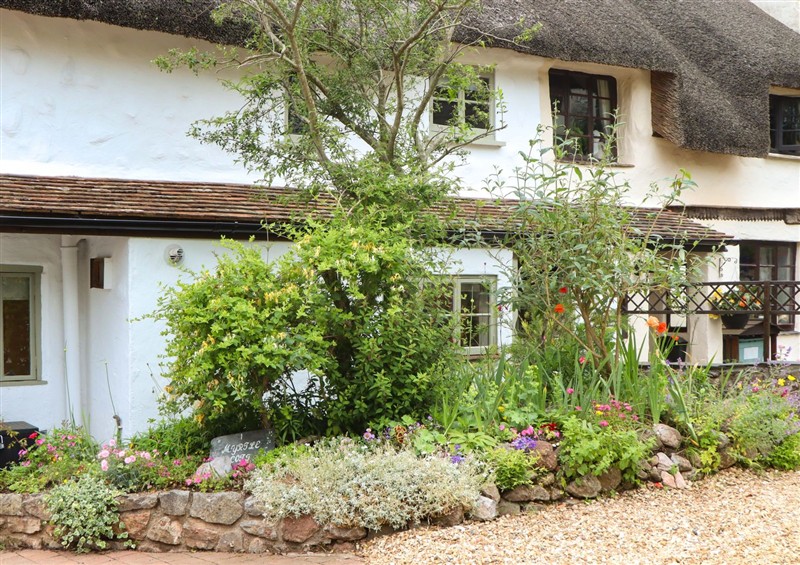 The garden in 1 Myrtle Cottages (photo 2) at 1 Myrtle Cottages, Stokeinteignhead