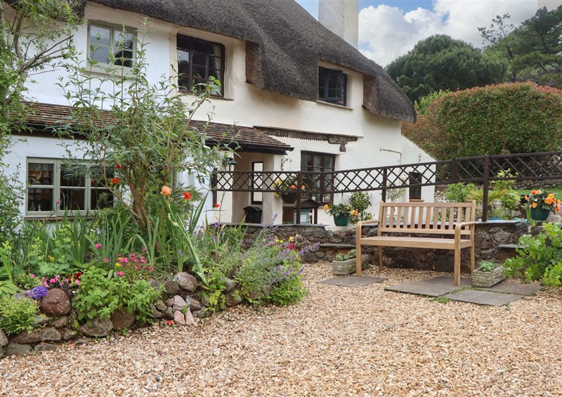 The garden at 1 Myrtle Cottages, Stokeinteignhead