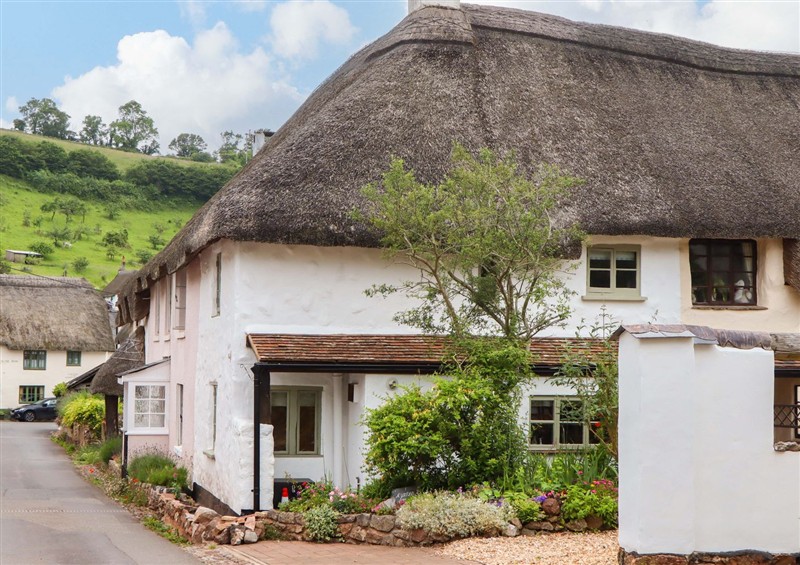 This is 1 Myrtle Cottages at 1 Myrtle Cottages, Stokeinteignhead