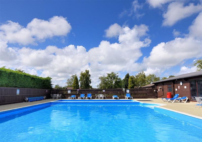 Enjoy the swimming pool at 1 Pinewood Retreat, Lyme Regis