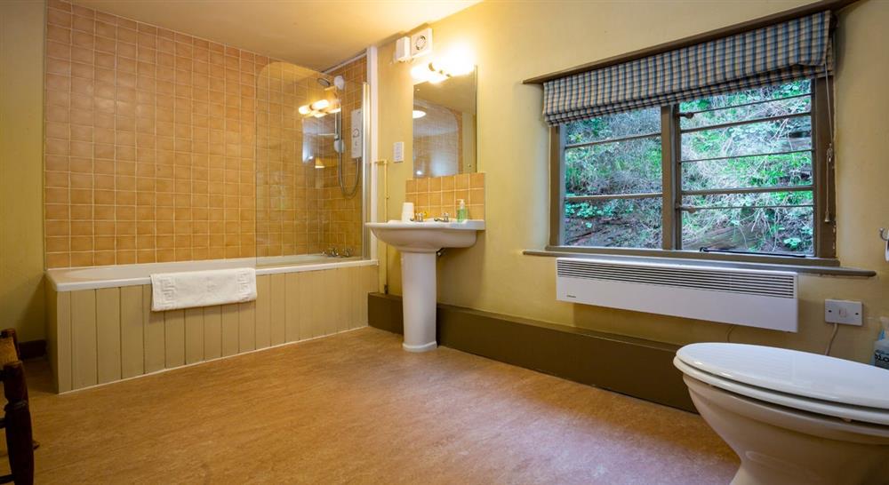 The bathroom at 1 Sternsmill Cottage in Nr Bridgnorth, Shropshire