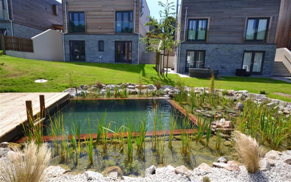 The outdoor naturally filtered plunge pool at 1 Talland in Talland Bay