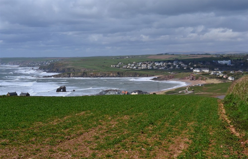 Photo of 1 Whimbrels Edge (photo 4) at 1 Whimbrels Edge in Thurlestone