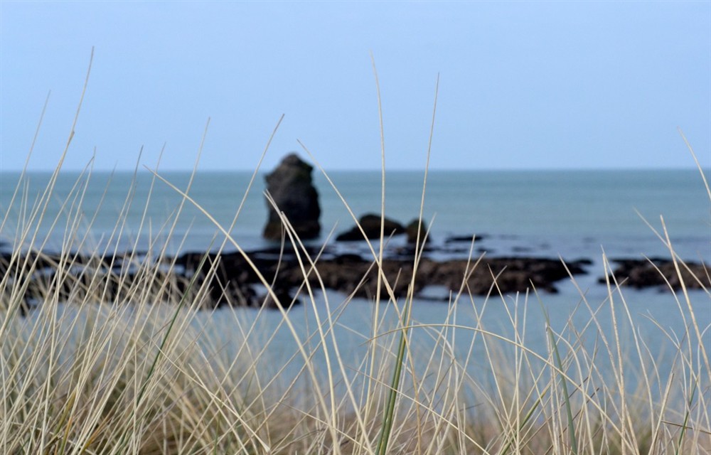 Photo of 1 Whimbrels Edge (photo 7) at 1 Whimbrels Edge in Thurlestone