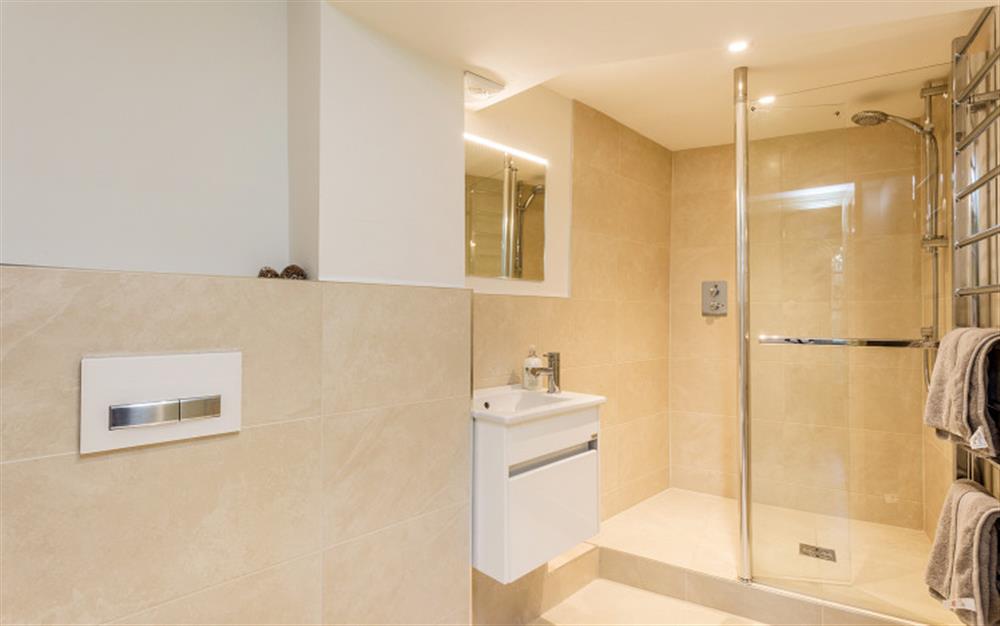 En suite shower room  at 10 Castle Street in Totnes