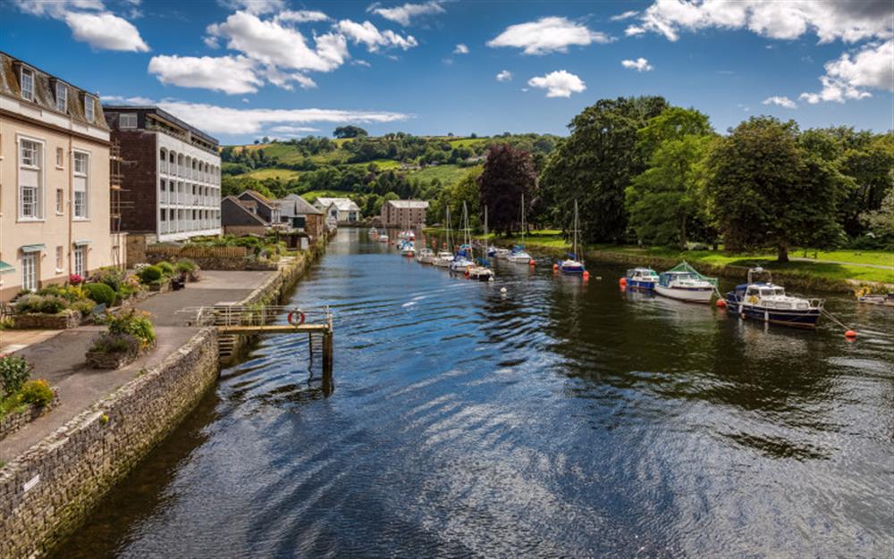 Explore the banks of the River Dart which flows through Totnes.