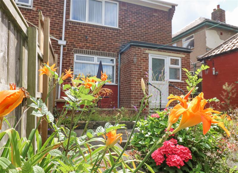 This is the garden at 10 Lilac Road, Stockton-On-Tees