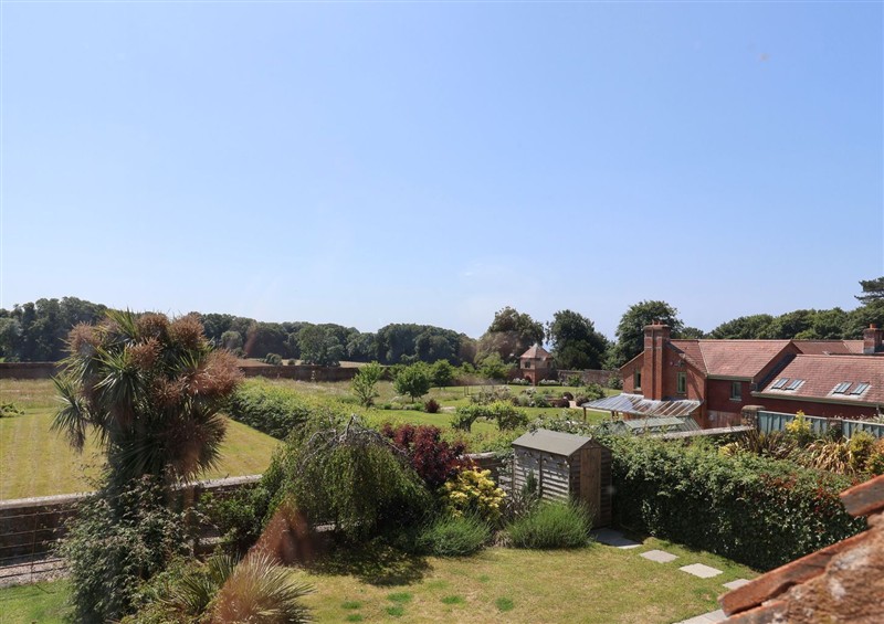 This is the garden at 10 The Gardens, Rousdon near Lyme Regis