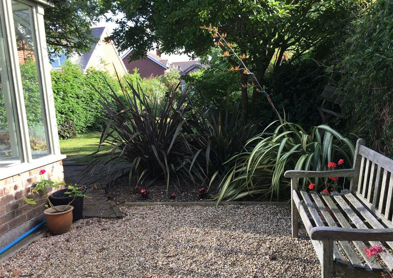This is the garden (photo 3) at 11 Beech Road, Weymouth