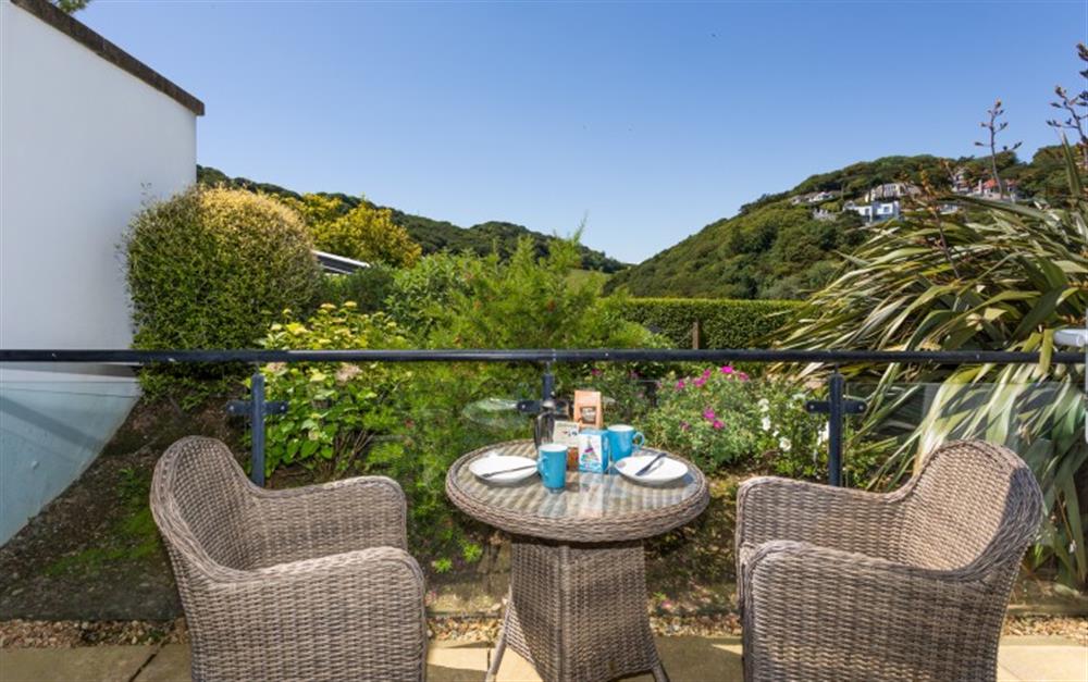 This is the garden at 11 Bolt Head in Salcombe