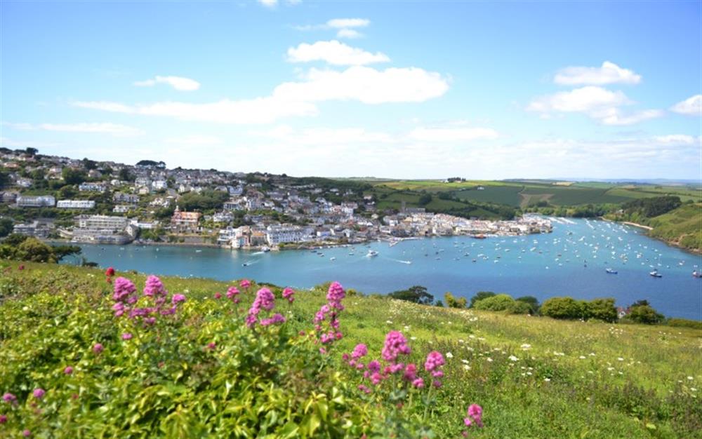 View of the beautiful Salcombe estuary at 11 Combehaven in Salcombe