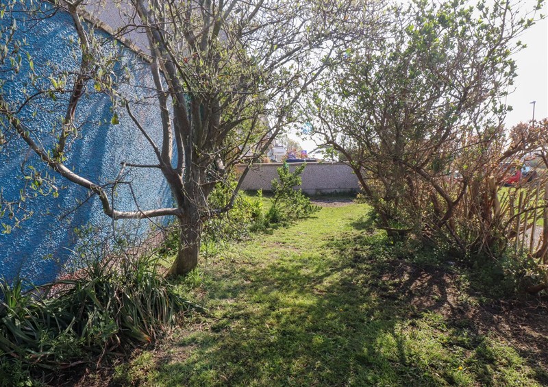 The garden in 11 Penygroes at 11 Penygroes, Llanddeusant