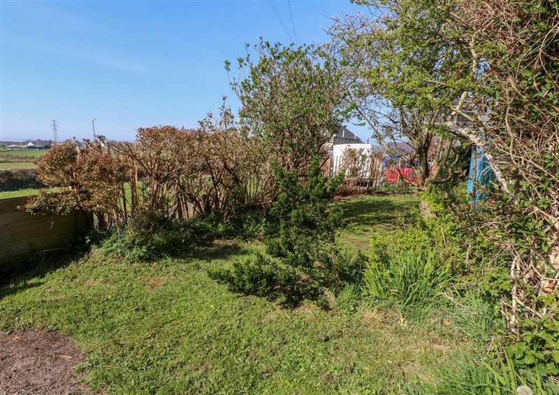 This is the garden (photo 2) at 11 Penygroes, Llanddeusant