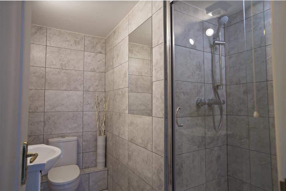 Fully tiled en suite shower room at 13 Dartmouth House in Mayors Avenue, Dartmouth