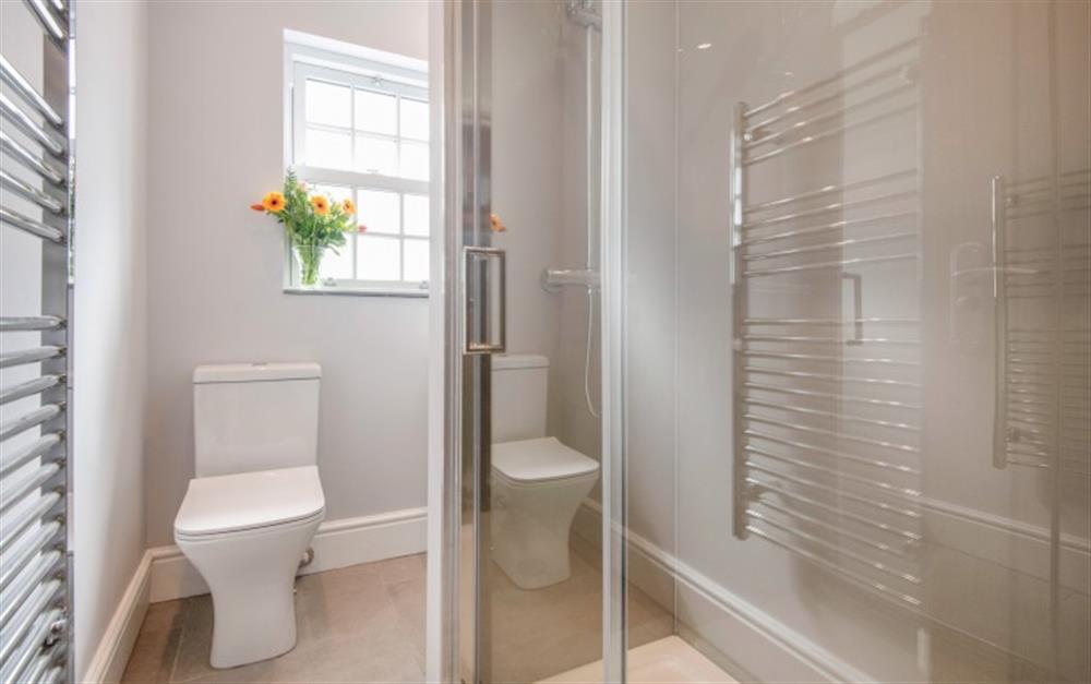 Family shower room with large walk-in double shower. at 13 Duke Street in Dartmouth