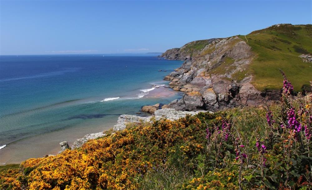 The scenic coastal path to Soar Mill Cove at 13 Salcombe Retreat in Salcombe