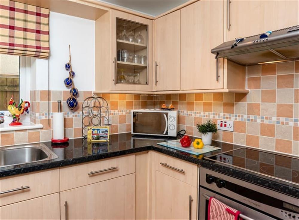 Well appointed kitchen area (photo 2) at 14 Belvedere Court in , Paignton