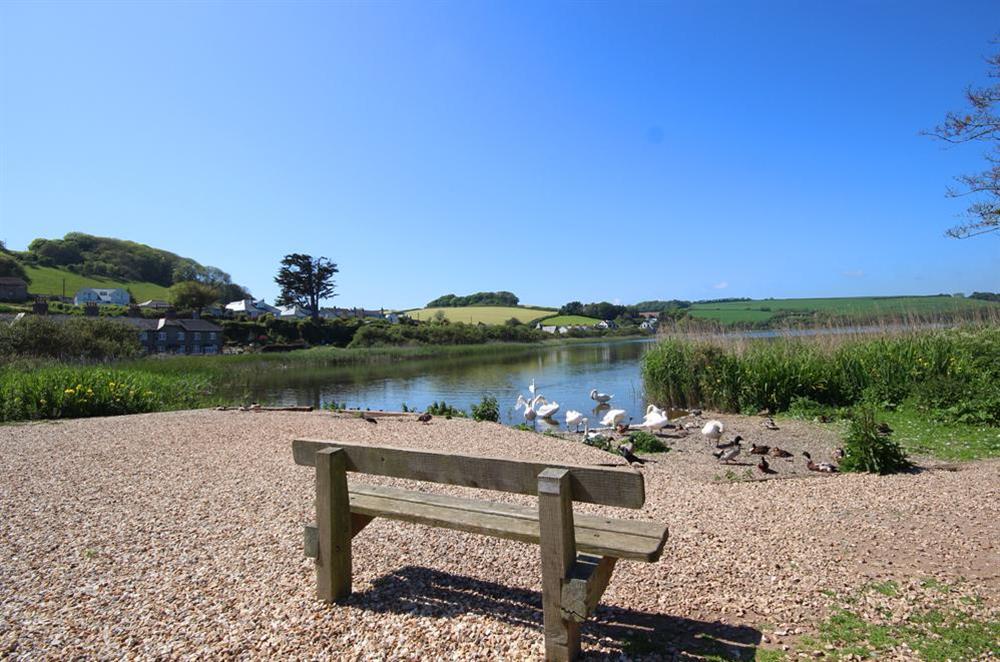 The 'famous' ducks of Torcross and Slapton Ley (photo 2) at 15 At The Beach in , Torcross