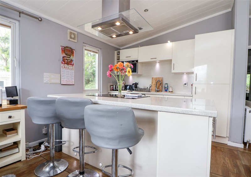 Kitchen at 155 Woodland Hall (Lyons), Ruthin
