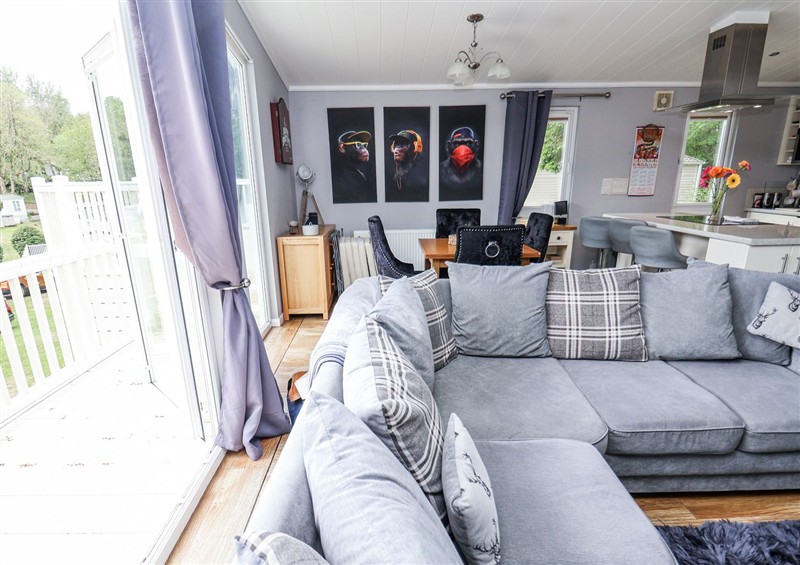 Relax in the living area at 155 Woodland Hall (Lyons), Ruthin