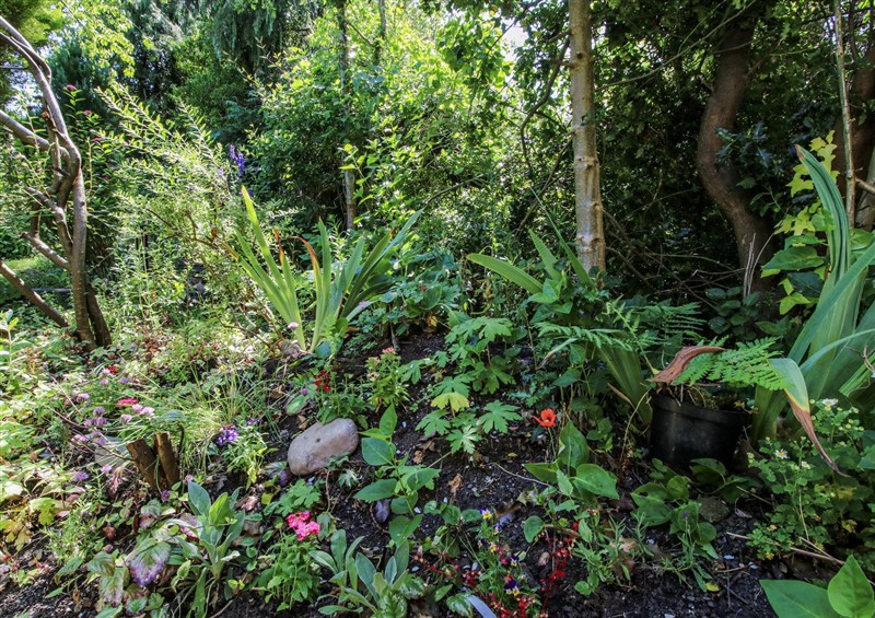 This is the garden (photo 4) at 157 Watling Street South, Church Stretton