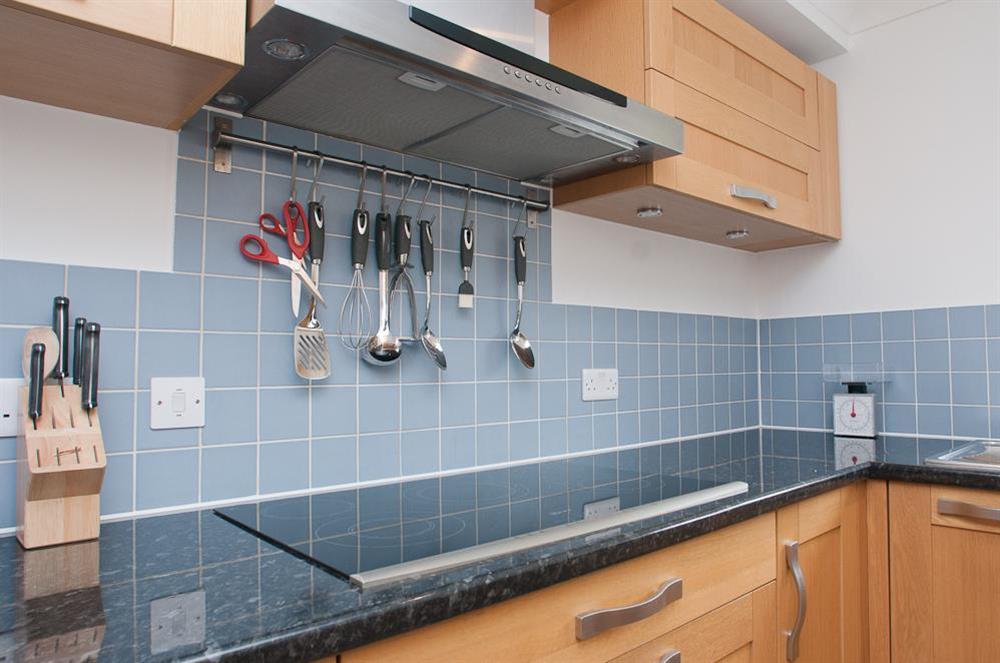 Well-equipped modern kitchen (photo 3) at 16 Bolt Head in South Sands, Salcombe