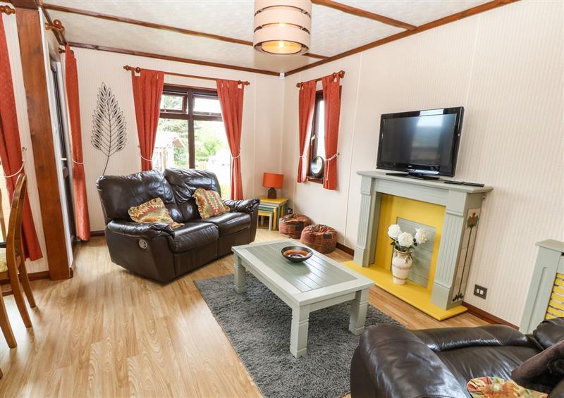 Relax in the living area at 16 Forest Lodge, Chwilog