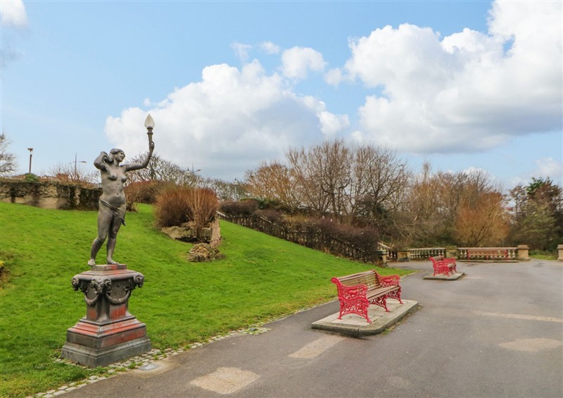This is the garden at 16 Seafield Terrace, South Shields