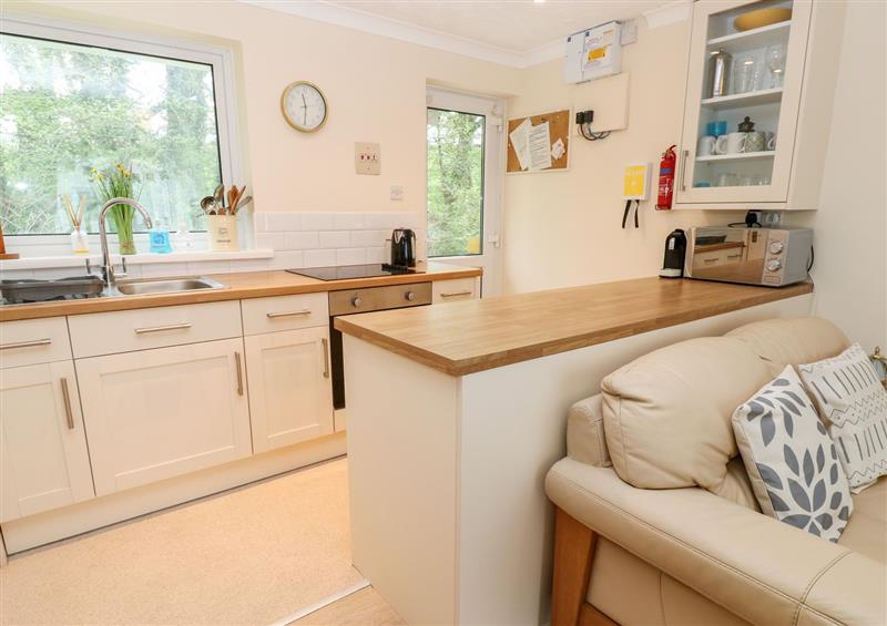 This is the kitchen at 17 River Banks, Liskeard