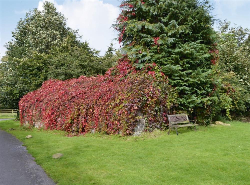 Garden at 1710 in Greenwell, near Brampton, Cumbria