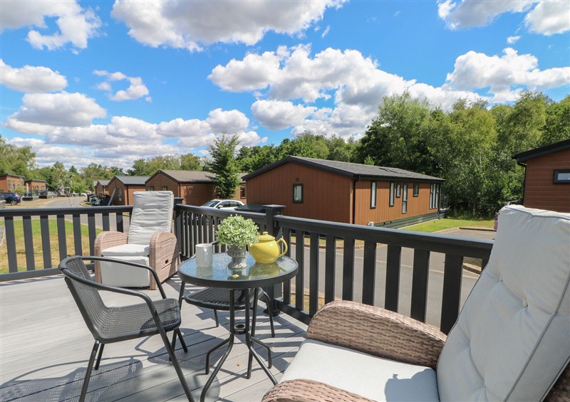 Outside at 18 Deer Glade, Landford