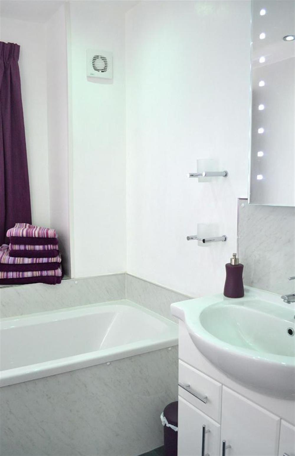 Another view of the bathroom at 1C Mayflower Court, Dartmouth