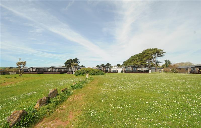 Rural landscape at 2 Bed Bronze Chalet Plot T029 with PETS, Brixham