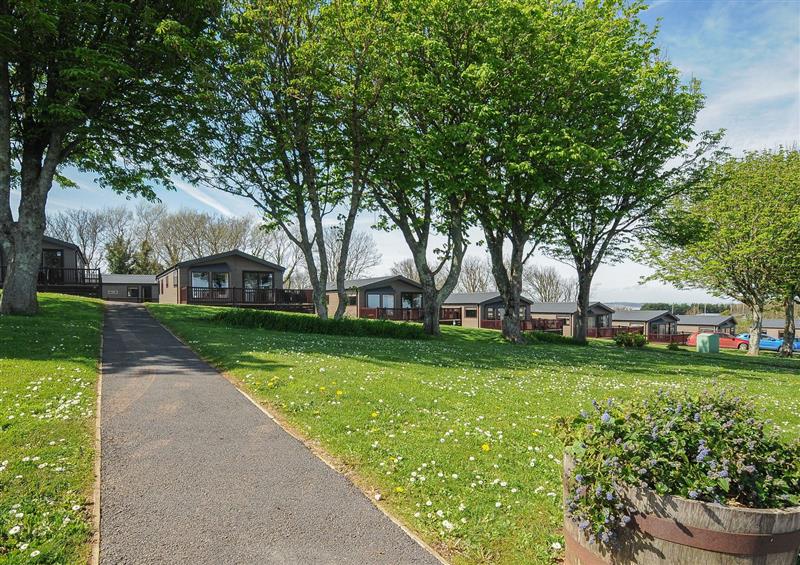 The garden at 2 Bed Lodge (Plot 55), Brixham