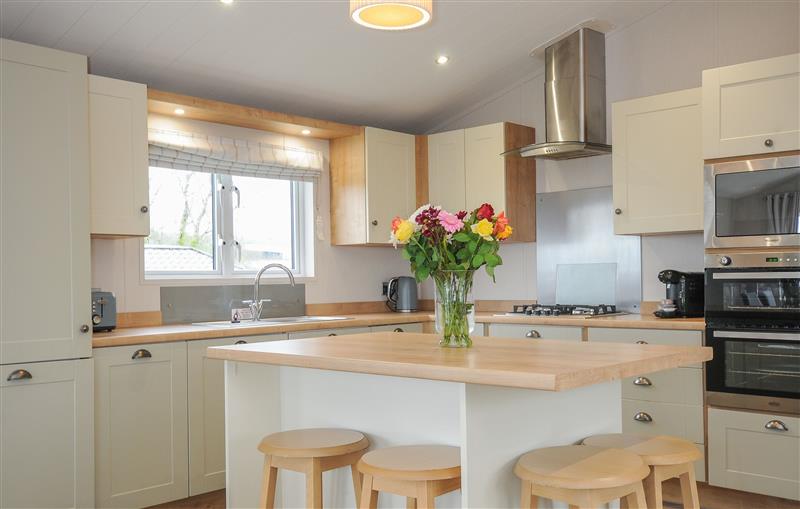 This is the kitchen at 2 Bed Lodge (Plot 55), Brixham