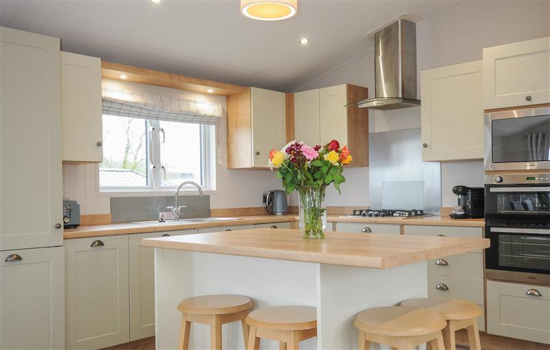 This is the kitchen at 2 Bed Lodge (Plot 58), Brixham