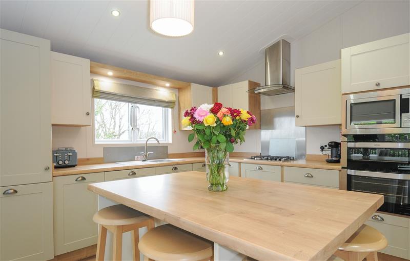 Kitchen at 2 Bed Lodge (Plot 62 Pets), Brixham