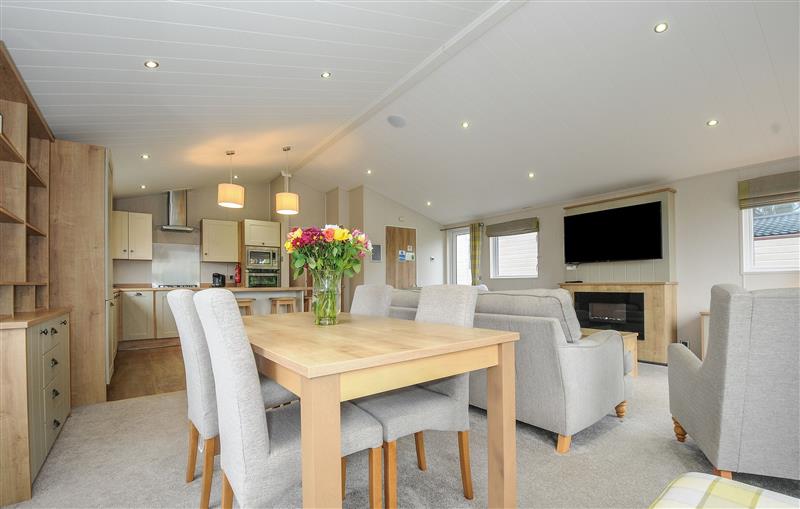 The kitchen at 2 Bed Lodge (Plot 62 Pets), Brixham