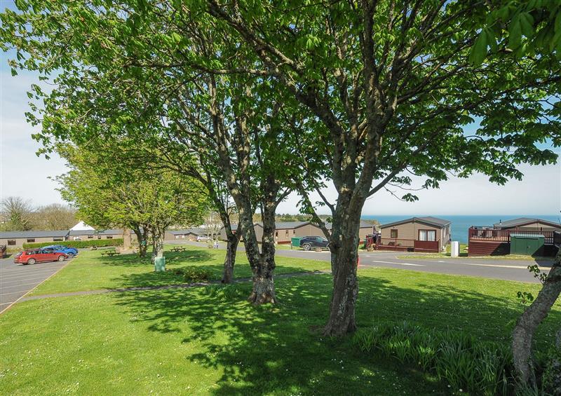 This is the garden at 2 Bed Lodge (Plot 62 Pets), Brixham