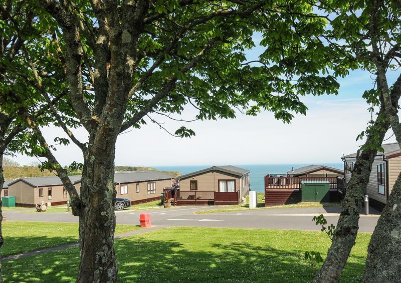This is the setting of 2 Bed Lodge (Plot 62 Pets) at 2 Bed Lodge (Plot 62 Pets), Brixham