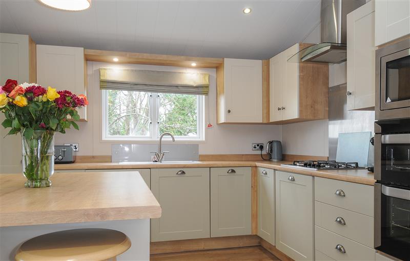 The kitchen at 2 Bed Lodge (Plot 63 Pets), Brixham