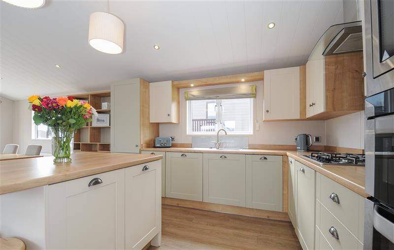 Kitchen at 2 Bed Lodge (Plot 65), Brixham