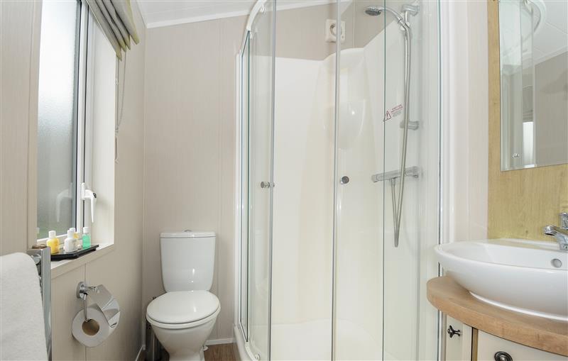 This is the bathroom at 2 Bed Lodge (Plot 65), Brixham